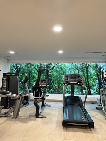 gym - gallery